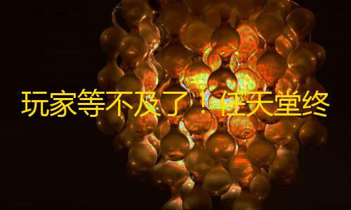 永劫无间手游科技辅助玩家等不及了！任天堂终于站出来表态：解决Switch手柄漂移